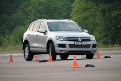 Кто в лес