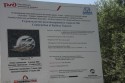 «Туарег» и гусиная печенка «Туарег» и гусиная печенка