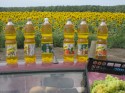 «Туарег» и гусиная печенка «Туарег» и гусиная печенка